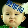 为爱婷留的头像