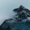 浮生若梦的头像