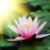 聆听拒(花.礼)的头像
