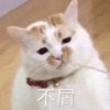 录音记录的头像