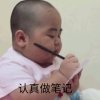 小猪猪的头像