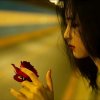 安悦er（暂退）的头像