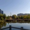 友缘门平凡人生的头像