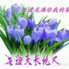 梦缘的头像