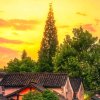 甜蜜 一方水的头像