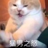 南辞的头像