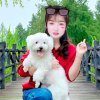 春暖花开的头像