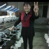 静蓝风暴的头像