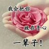 美丽的头像