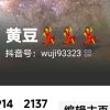 梦回唐朝。的头像