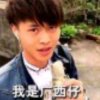 解爱的头像