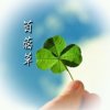 苜蓿草的头像