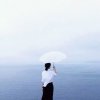 枫叶情的头像