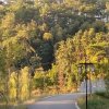 来生愿做一颗树，站在路边看风景！的头像