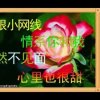 邂微缘的头像