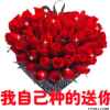 吉祥三宝的头像
