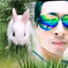 平淡是真的头像