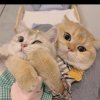 I Can.的头像