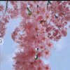 实景变迁的头像