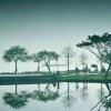 平凡达人（休息）的头像
