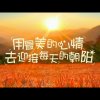 ╭★~嶶笑@向暖的头像