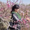 ..香儿《暂退》的头像