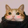 ⁽⁽ଘUnique๑青栀的头像