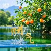 9月菊的头像