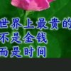 天涯，暂停，腿出的头像