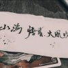 尽欢.的头像