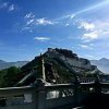 sun shine的头像