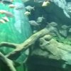 CMH的头像