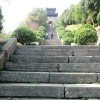 惜缘的头像