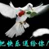 安的头像