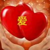 心雨如歌的头像