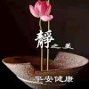 八音盒（不听勿评，有访必回）的头像