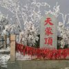 我心永恒的头像