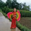 花朵的头像