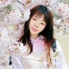 馨悦的头像