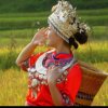 苗家山歌俏阿妹的头像