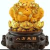 鸿雁集团创始助理接待号699590719的头像