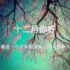 踏雪无痕的头像
