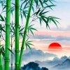 陪你看海的头像