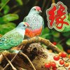 情哥哥的头像