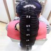 椛雨的头像