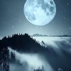 平凡的头像