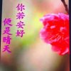 阳光雨露的头像