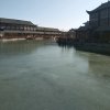 阿里的头像