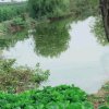 碧海明月的头像