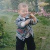 风中的柳絮的头像